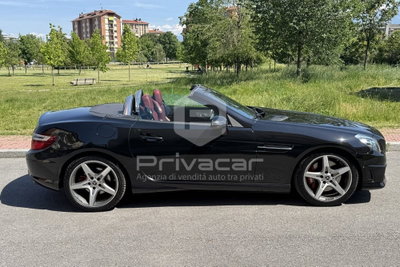 Mercedes-Benz SLK 250 CDI BlueEFFICIENCY Premium (4)