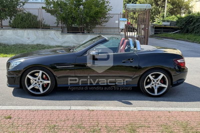 Mercedes-Benz SLK 250 CDI BlueEFFICIENCY Premium (8)