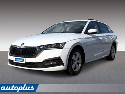 Skoda Octavia Station Wagon 2.0 TDI EVO SCR 150 CV DSG 4x4 Wagon Executive (4)