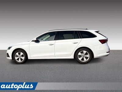 Skoda Octavia Station Wagon 2.0 TDI EVO SCR 150 CV DSG 4x4 Wagon Executive (5)