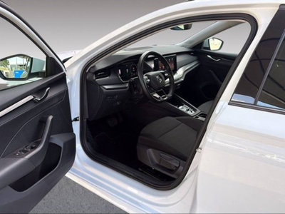 Skoda Octavia Station Wagon 2.0 TDI EVO SCR 150 CV DSG 4x4 Wagon Executive (6)