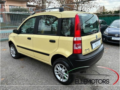 Fiat Panda 1.2 4x4 (6)