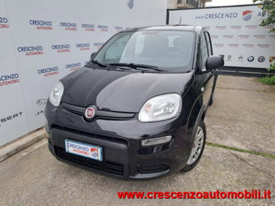 Fiat Panda 1.0 firefly hybrid s&s 70cv 5p.ti usata