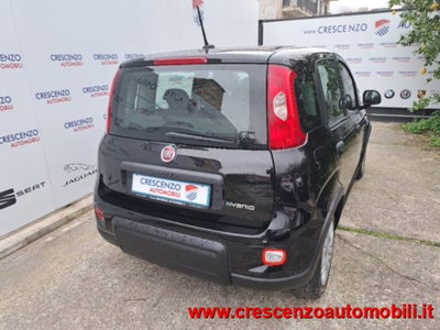 Fiat Panda 1.0 firefly hybrid s&s 70cv 5p.ti (10)