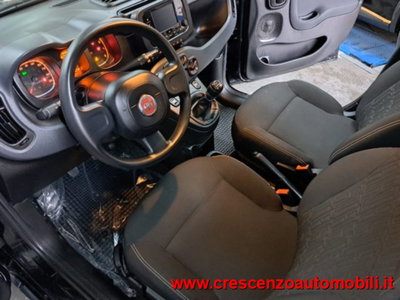 Fiat Panda 1.0 firefly hybrid s&s 70cv 5p.ti (12)