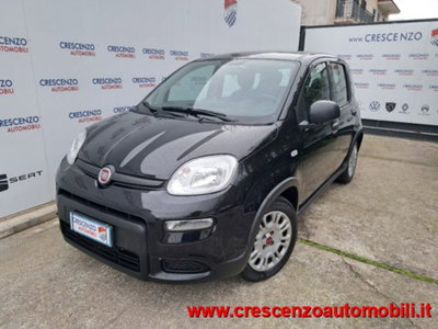 Fiat Panda 1.0 firefly hybrid s&s 70cv 5p.ti (2)
