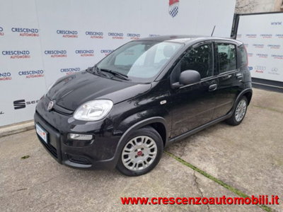 Fiat Panda 1.0 firefly hybrid s&s 70cv 5p.ti (3)