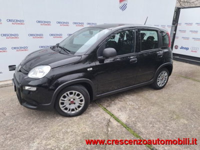 Fiat Panda 1.0 firefly hybrid s&s 70cv 5p.ti (4)