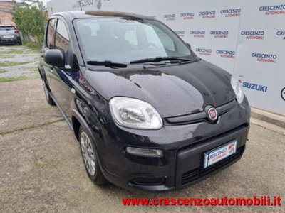 Fiat Panda 1.0 firefly hybrid s&s 70cv 5p.ti (5)