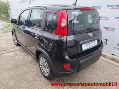 Fiat Panda 1.0 firefly hybrid s&s 70cv 5p.ti (7)
