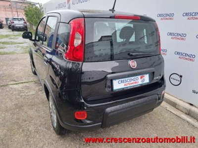 Fiat Panda 1.0 firefly hybrid s&s 70cv 5p.ti (8)