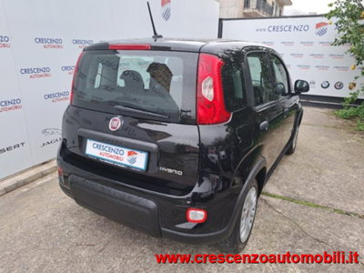 Fiat Panda 1.0 firefly hybrid s&s 70cv 5p.ti (9)