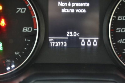 SEAT Arona 1.0 TGI Reference (12)