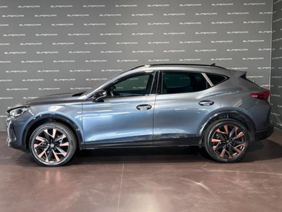 Cupra Formentor Formentor 2.0 TDI (5)