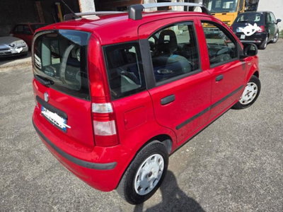 Fiat Panda 1.2 Active (2)
