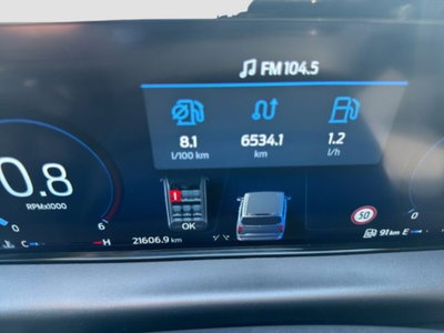 Ford Tourneo Custom 320 2.0 EcoBlue 150CV PL Titanium (15)