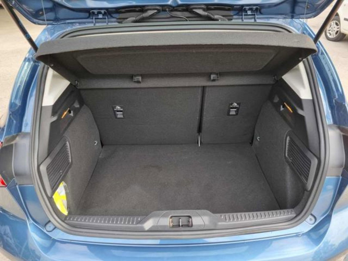 Ford Focus 1.5 EcoBlue 120 CV automatico 5p. Business Co-Pilot (14)