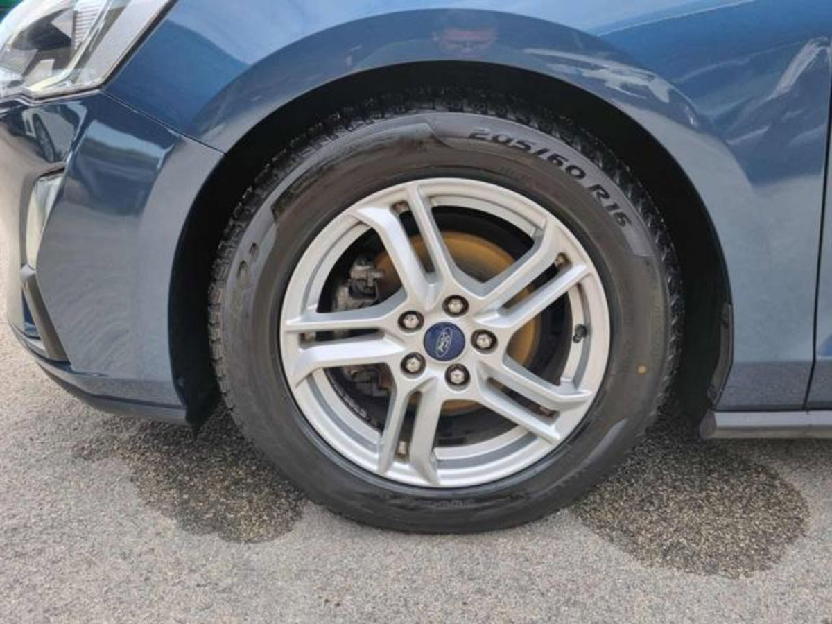 Ford Focus 1.5 EcoBlue 120 CV automatico 5p. Business Co-Pilot (15)