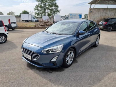 Ford Focus 1.5 EcoBlue 120 CV automatico 5p. Business Co-Pilot (2)