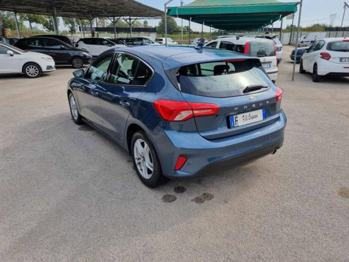 Ford Focus 1.5 EcoBlue 120 CV automatico 5p. Business Co-Pilot (7)