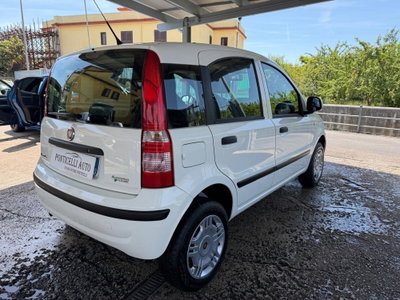 Fiat Panda 1.2 Dynamic Natural Power (3)