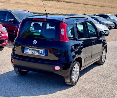Fiat Panda 1.3 MJT 80 CV S&S Lounge (2)