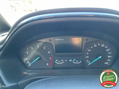 Ford Fiesta 1.0 Ecoboost Hybrid 125 CV 5 porte Titanium (10)
