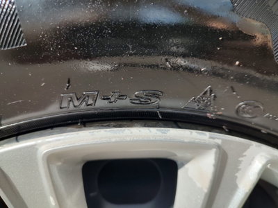Ford B-Max B-Max 1.4 90 CV (15)