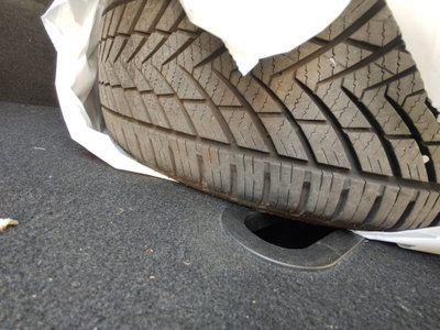 Ford B-Max B-Max 1.4 90 CV (20)