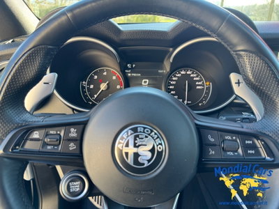 Alfa Romeo Stelvio Stelvio 2.2 Turbodiesel 210 CV AT8 Q4 Veloce (14)