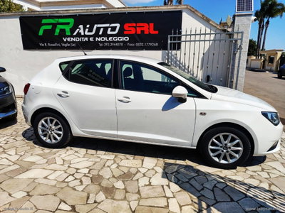 SEAT Ibiza 1.0 75 CV 5p. Connect (6)