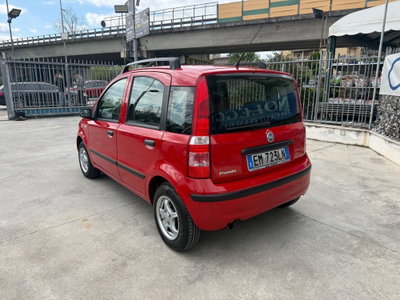 Fiat Panda 1.2 4x4 (7)