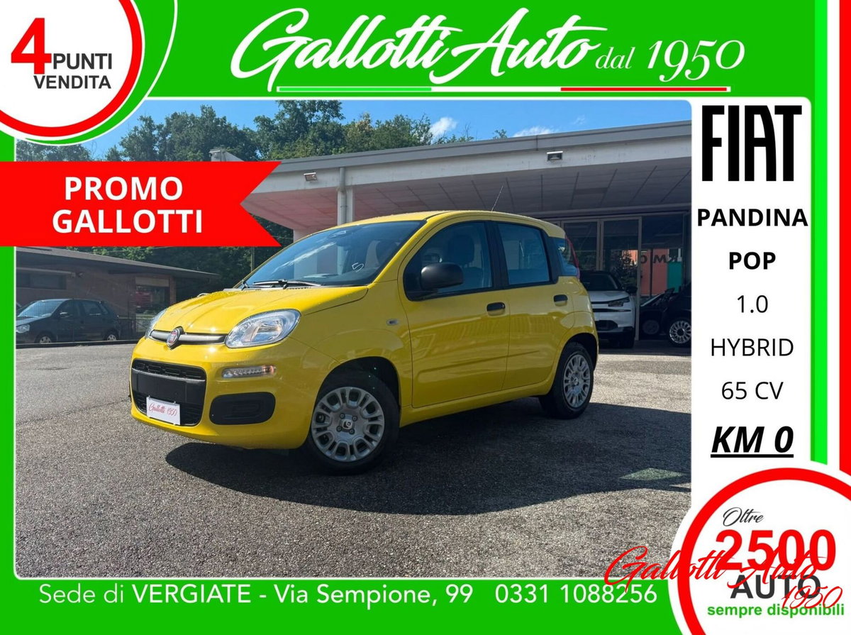 Fiat Pandina 1.0 firefly hybrid s&s 65cv