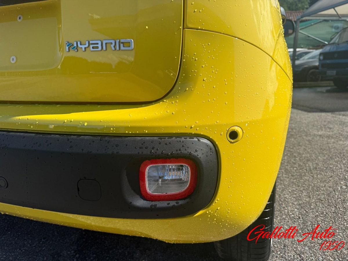 Fiat Pandina 1.0 firefly hybrid s&s 65cv (15)