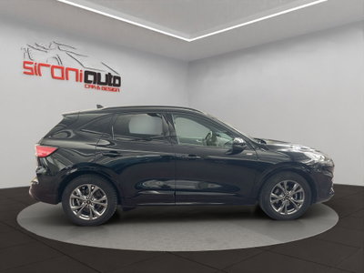 Ford Kuga 1.5 EcoBlue 120 CV 2WD ST-Line (9)
