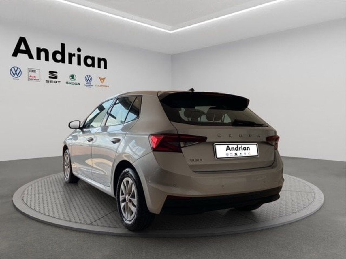 Skoda Fabia 1.0 TSI EVO 95 CV Ambition (2)
