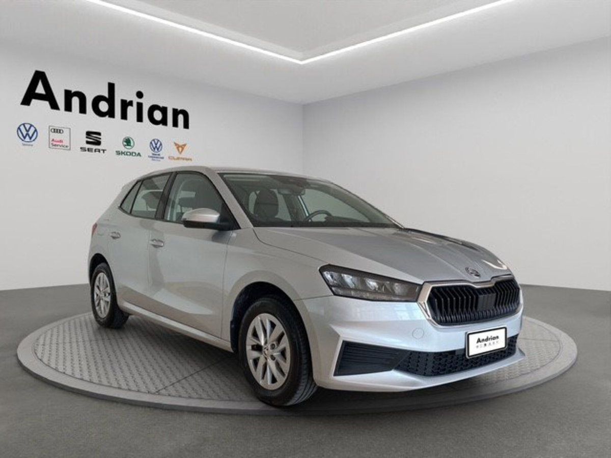 Skoda Fabia 1.0 TSI EVO 95 CV Ambition (4)