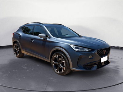 Cupra Formentor Formentor 2.0 tdi 4drive 150cv dsg (8)