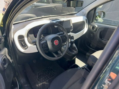 Fiat Panda Cross Cross 1.0 FireFly S&S Hybrid (6)