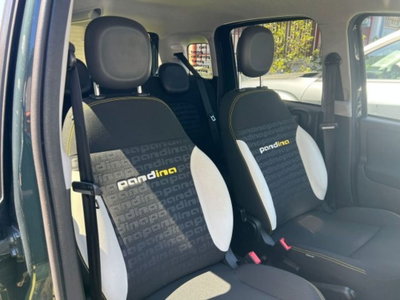 Fiat Panda Cross Cross 1.0 FireFly S&S Hybrid (8)