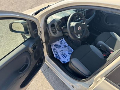Fiat Panda 1.2 Easy (10)