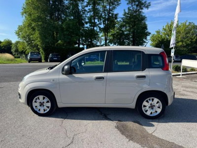 Fiat Panda 1.2 Easy (3)