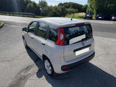 Fiat Panda 1.2 Easy (4)