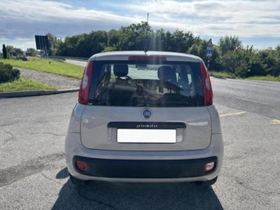 Fiat Panda 1.2 Easy (5)