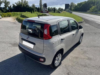 Fiat Panda 1.2 Easy (6)