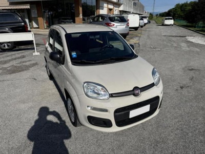 Fiat Panda 1.2 Easy (8)