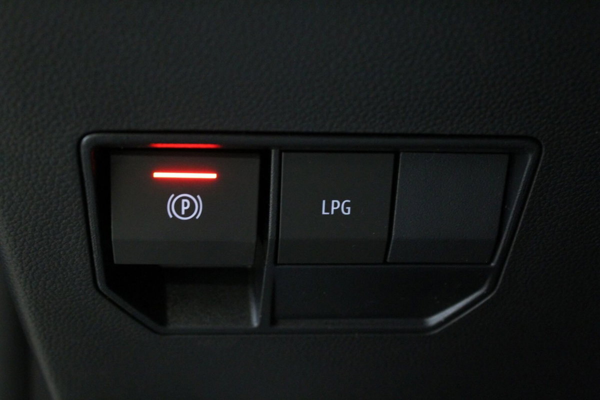 Dacia Duster 1.2 Eco-G Journey 120cv (15)