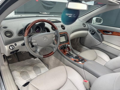 Mercedes-Benz SL 500 cat (10)