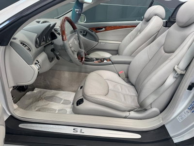 Mercedes-Benz SL 500 cat (11)