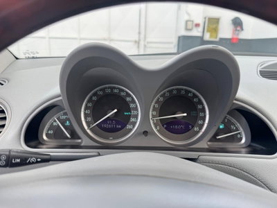 Mercedes-Benz SL 500 cat (13)